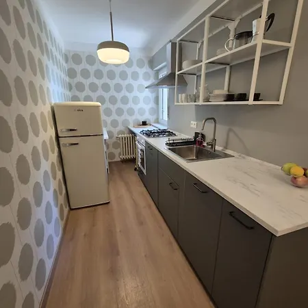 Amazing View Of The River Donau