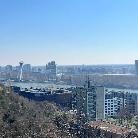 Amazing View Of The River Donau アパート ブラチスラヴァ