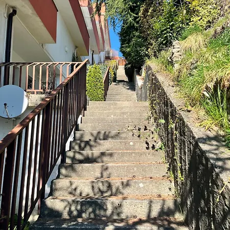 Amazing View Of The River Donau * Bratislava